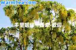 千里姻缘一线牵-歌词