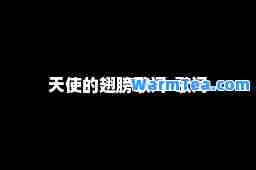 天使的翅膀歌词-歌词