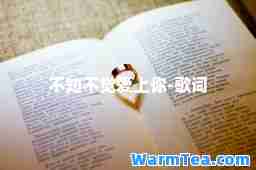 不知不觉爱上你-歌词