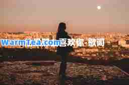 他没那么喜欢你-歌词