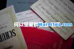 何以笙箫默歌曲-歌词