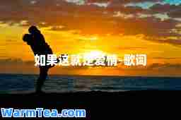 如果这就是爱情-歌词