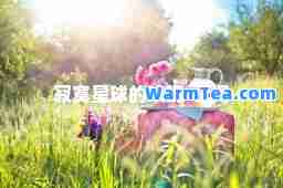 寂寞星球的玫瑰-歌词