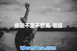 你是不是不想离-歌词