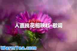 人面桃花相映红-歌词