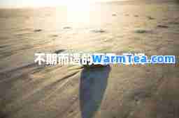 不期而遇的夏天-歌词