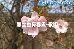那丝也有春天-歌词
