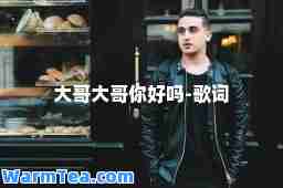 大哥大哥你好吗-歌词