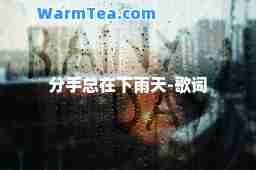 分手总在下雨天-歌词