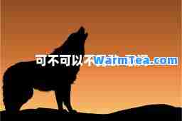 可不可以不勇敢-歌词