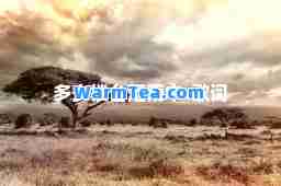 多少楼台烟雨中-歌词