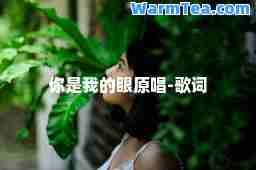 你是我的眼原唱-歌词