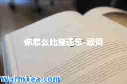 你怎么比猪还笨-歌词