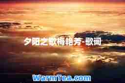 夕阳之歌梅艳芳-歌词