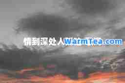情到深处人孤独-歌词