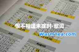 恨不相逢未嫁时-歌词