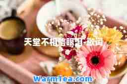 天堂不相信眼泪-歌词
