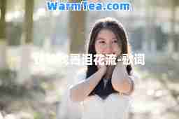 妹妹找哥泪花流-歌词