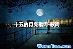 十五的月亮歌词-歌词