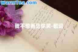 我不想看见你哭-歌词