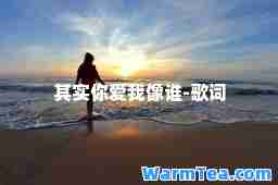 其实你爱我像谁-歌词