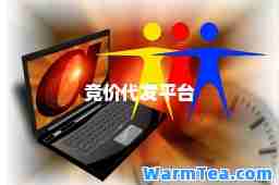 竞价代发平台