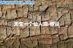 天生一个仙人洞-歌词