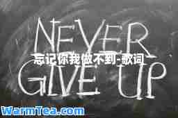 忘记你我做不到-歌词