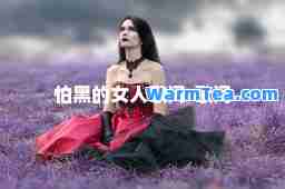 怕黑的女人歌词-歌词