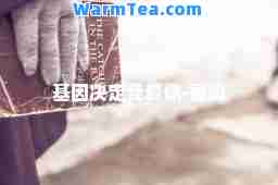 基因决定我爱你-歌词