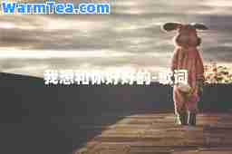 我想和你好好的-歌词