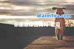 你愿意嫁给我吗-歌词