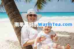南拳妈妈的夏天-歌词