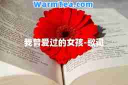 我曾爱过的女孩-歌词