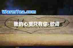 我的心里只有你-歌词