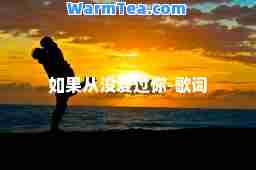 如果从没爱过你-歌词