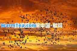 我们爱你啊中国-歌词