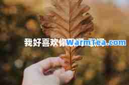 我好喜欢你歌词-歌词