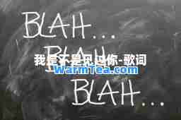我是不是见过你-歌词