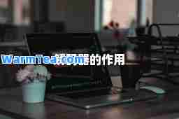 解码器的作用