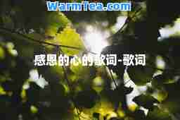 感恩的心的歌词-歌词