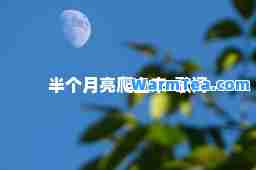 半个月亮爬上来-歌词