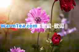 我要抱着你歌词-歌词