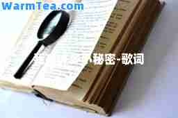 我有许多小秘密-歌词