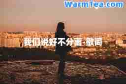 我们说好不分离-歌词
