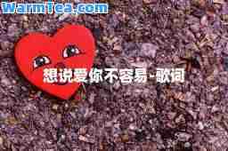 想说爱你不容易-歌词