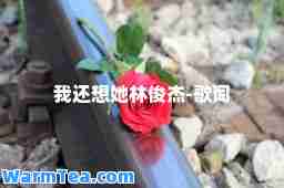 我还想她林俊杰-歌词