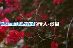 念念不忘的情人-歌词