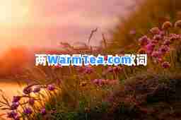 两情若是长久时-歌词