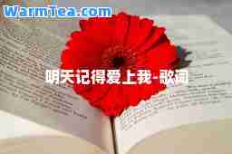 明天记得爱上我-歌词